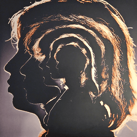 THE ROLLING STONES - Hot Rocks (1964 - 1971) Vinyl