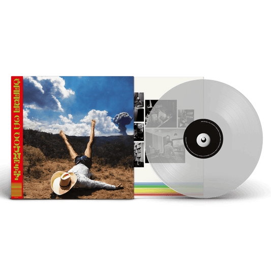 GEESE - 3D Country Vinyl