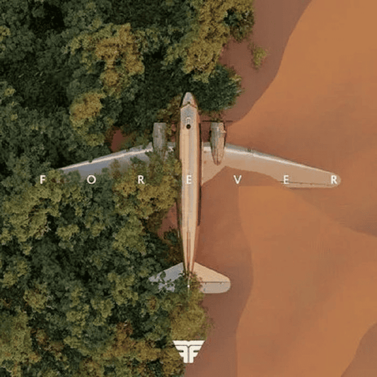 FLIGHT FACILITIES - Forever Vinyl