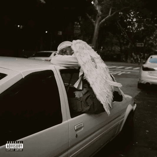 BLOOD ORANGE - Negro Swan Vinyl