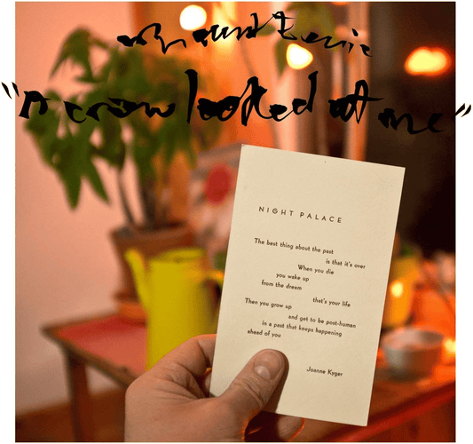 MOUNT EERIE - A Crow Looked At Me Vinyl