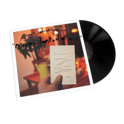 MOUNT EERIE - A Crow Looked At Me Vinyl