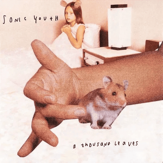 SONIC YOUTH - A Thousand Leaves Vinyl