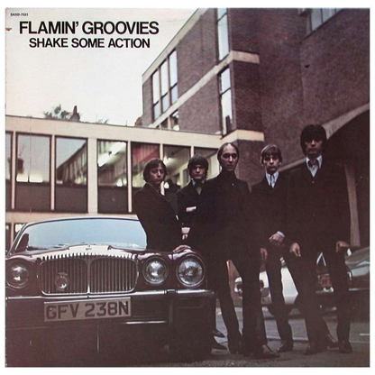 FLAMIN' GROOVIES - Shake Some Action Vinyl
