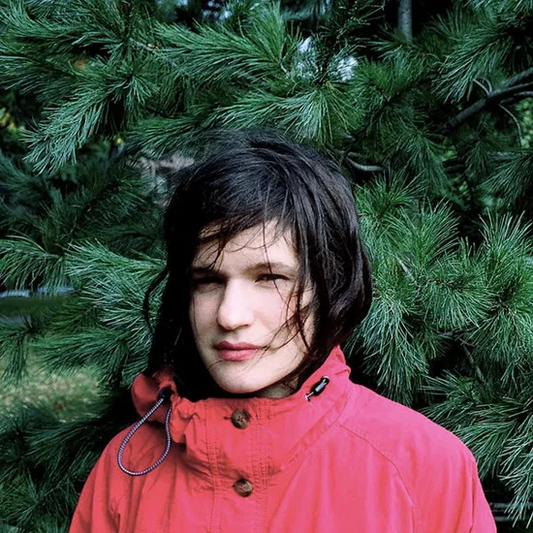 ADRIANNE LENKER - Hours Were The Birds Vinyl