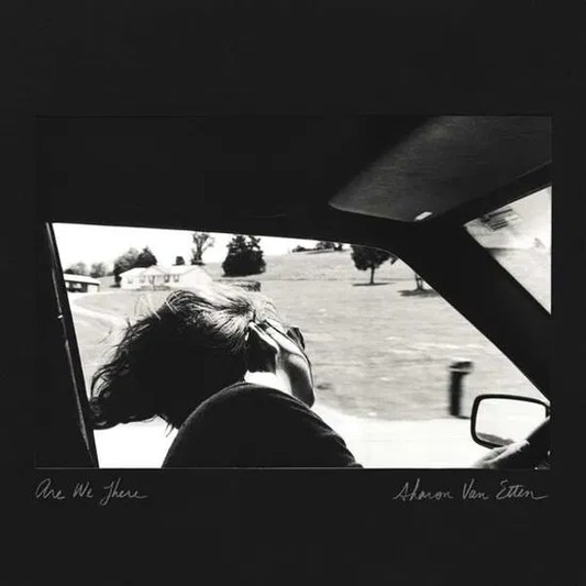 SHARON VAN ETTEN - Are We There Vinyl