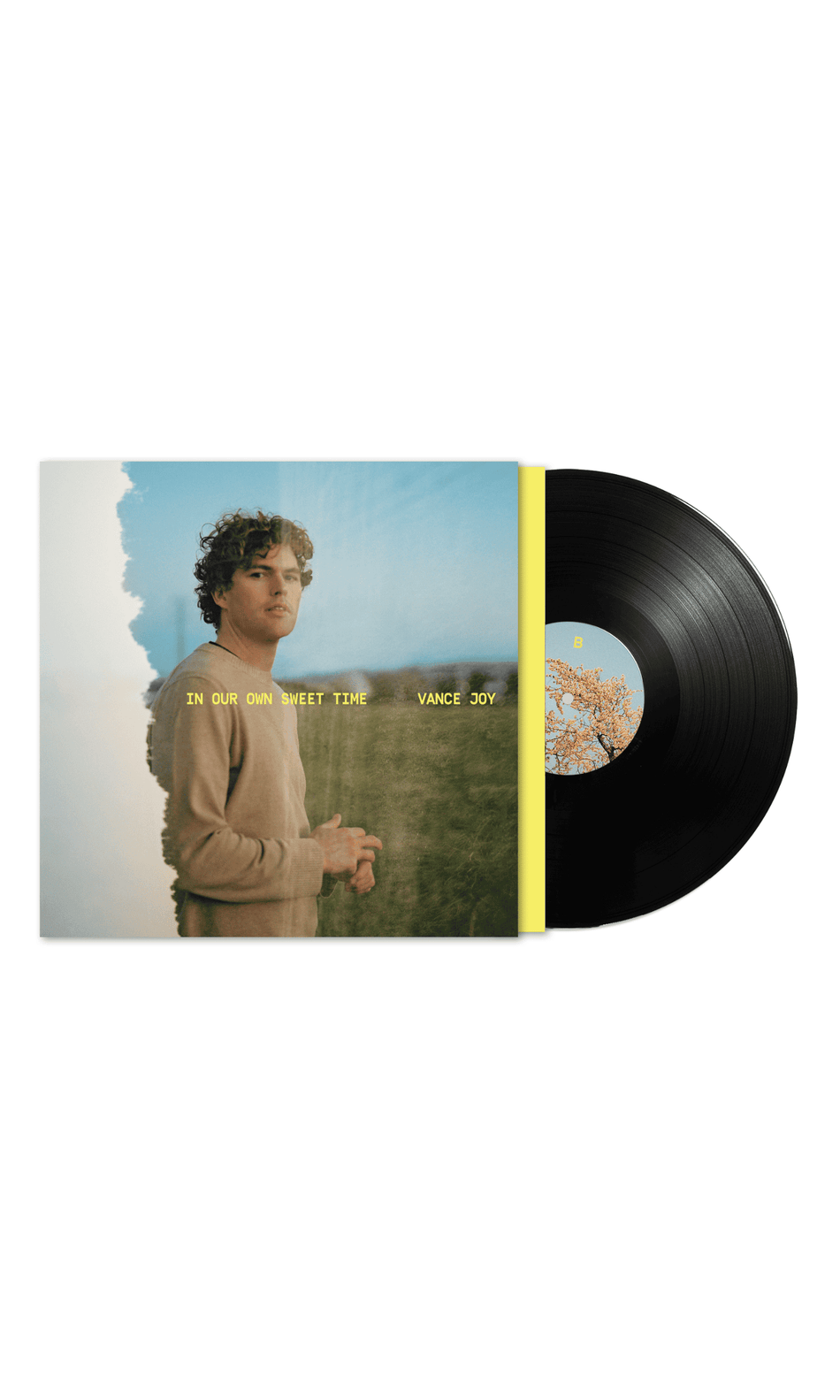 VANCE JOY - In Our Own Sweet Time Vinyl