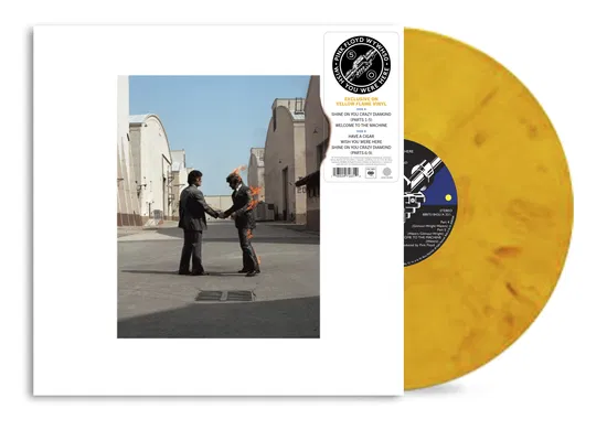 PINK FLOYD - Wish You Were Here 50 Vinyl