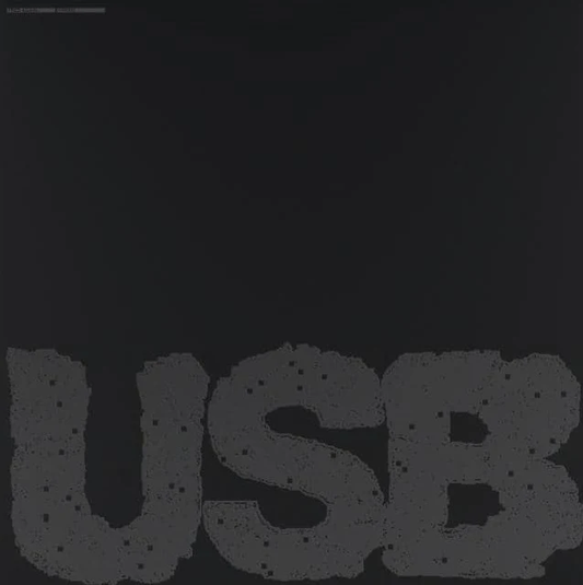 FRED AGAIN... - USB002 Vinyl
