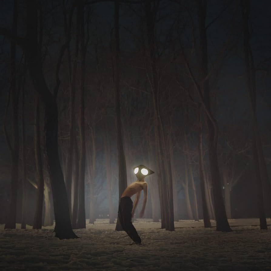 GEESE - Projector Vinyl