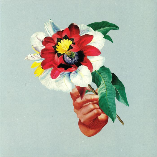 MARIBOU STATE - Kingdoms In Colour Vinyl