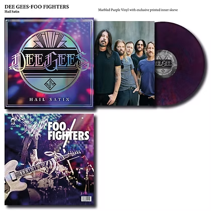 FOO FIGHTERS / DEE GEES - Hail Satin Vinyl JWrayRecords
