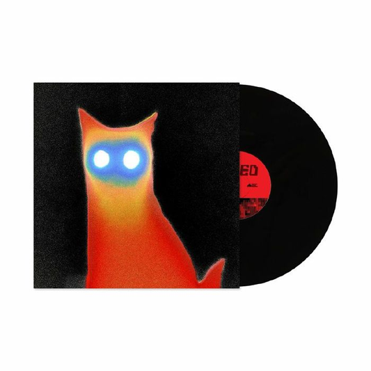 BASEMENT - Wired Vinyl JWrayRecords