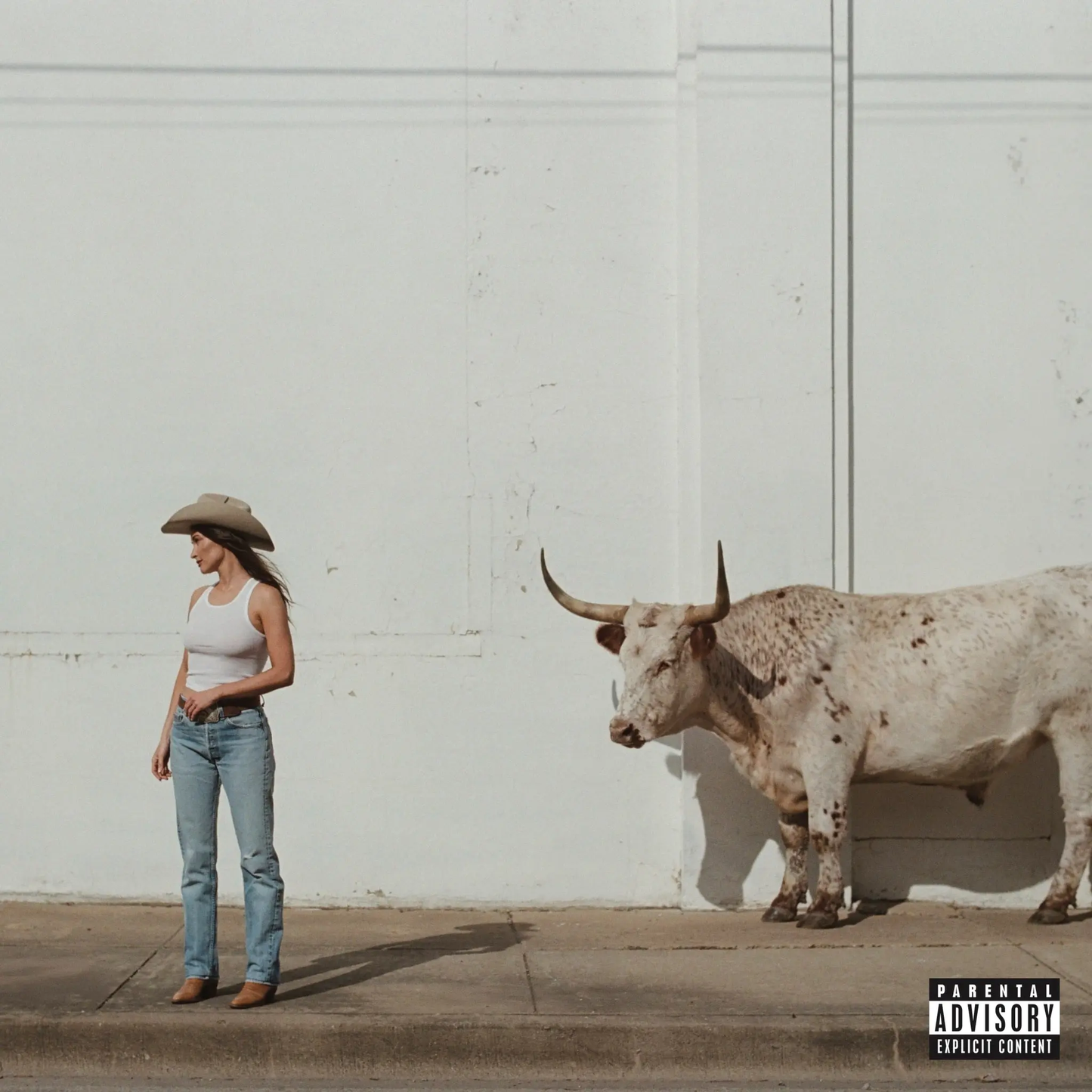 KACEY MUSGRAVES - Middle Of Nowhere Vinyl JWrayRecords