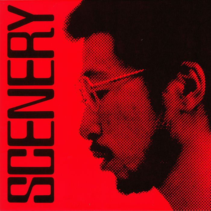 RYO FUKUI - Scenery Vinyl JWrayRecords