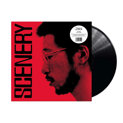 RYO FUKUI - Scenery Vinyl JWrayRecords
