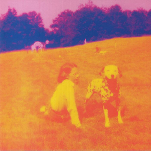 EELS - Blinking Lights & Other Revelations Vinyl JWrayRecords