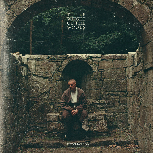 DERMOT KENNEDY - The Weight of the Woods Deluxe Edition Vinyl JWrayRecords
