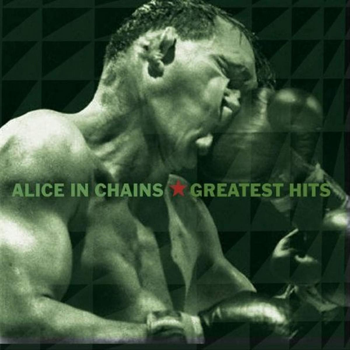 ALICE IN CHAINS - Greatest Hits CD JWrayRecords