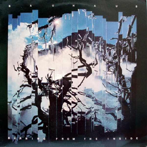 BAUHAUS - Burning From The Inside (VG+/VG+) Vinyl JWrayRecords