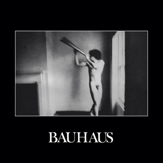 BAUHAUS - In The Flat Land (NM/NM) Vinyl JWrayRecords