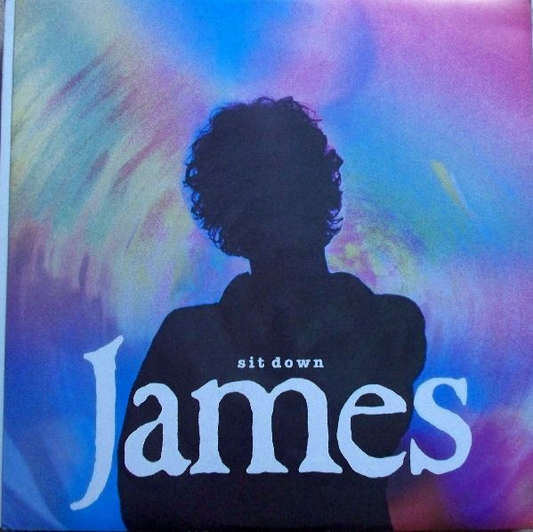 JAMES - Sit Down (VG/VG+) Vinyl JWrayRecords