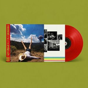 GEESE - 3D Country Vinyl JWrayRecords