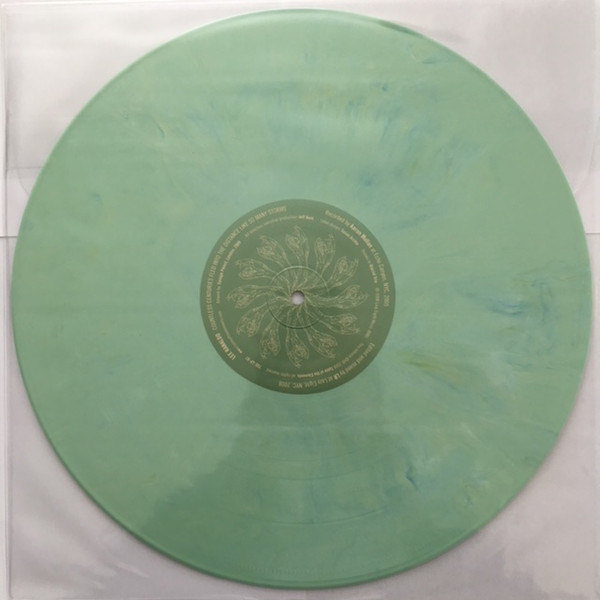 LEE RANALDO - Countless Centuries Fled Into The Distance Like So Many Storms (VG+/GEN) Vinyl JWrayRecords