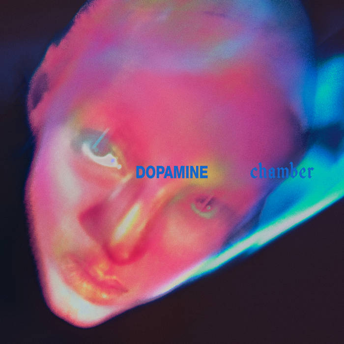 FONTAINES DC - Dopamine Chamber Vinyl JWrayRecords