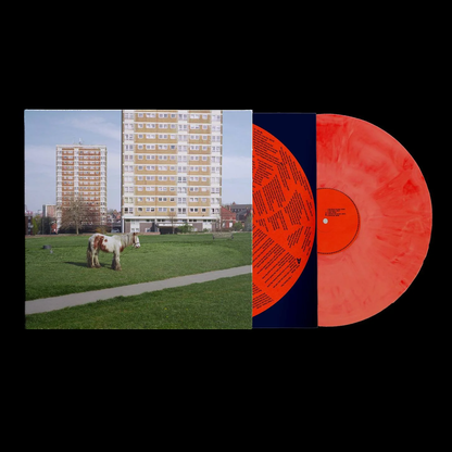 WESTSIDE COWBOY - It Goes On Vinyl JWrayRecords