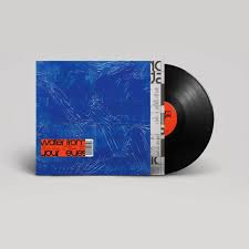 WATER FROM YOUR EYES - It's A Beautiful Place Vinyl JWrayRecords