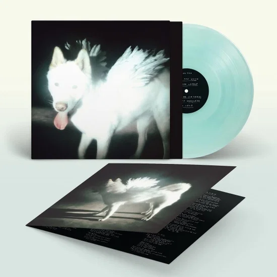 FAT DOG - Cancel Me (I'm Tired) Vinyl JWrayRecords