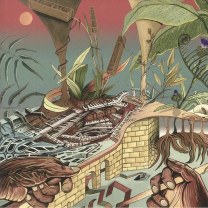 NU GUINEA - The Tony Allen Experiments: Afrobeat Makers Series Vol 3 Vinyl JWrayRecords