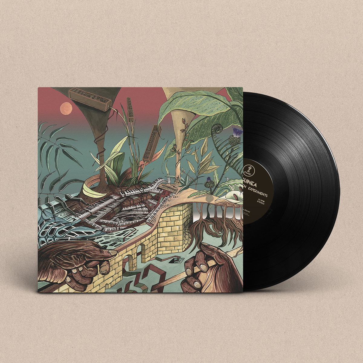 NU GUINEA - The Tony Allen Experiments: Afrobeat Makers Series Vol 3 Vinyl JWrayRecords