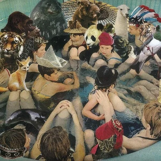 PANDA BEAR - Person Pitch Vinyl JWrayRecords