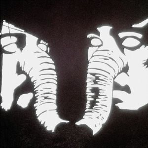 DEATH FROM ABOVE 1979 - Private Lives Vinyl JWrayRecords