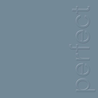 NEW ORDER - The Perfect Kiss 12" Single Vinyl JWrayRecords