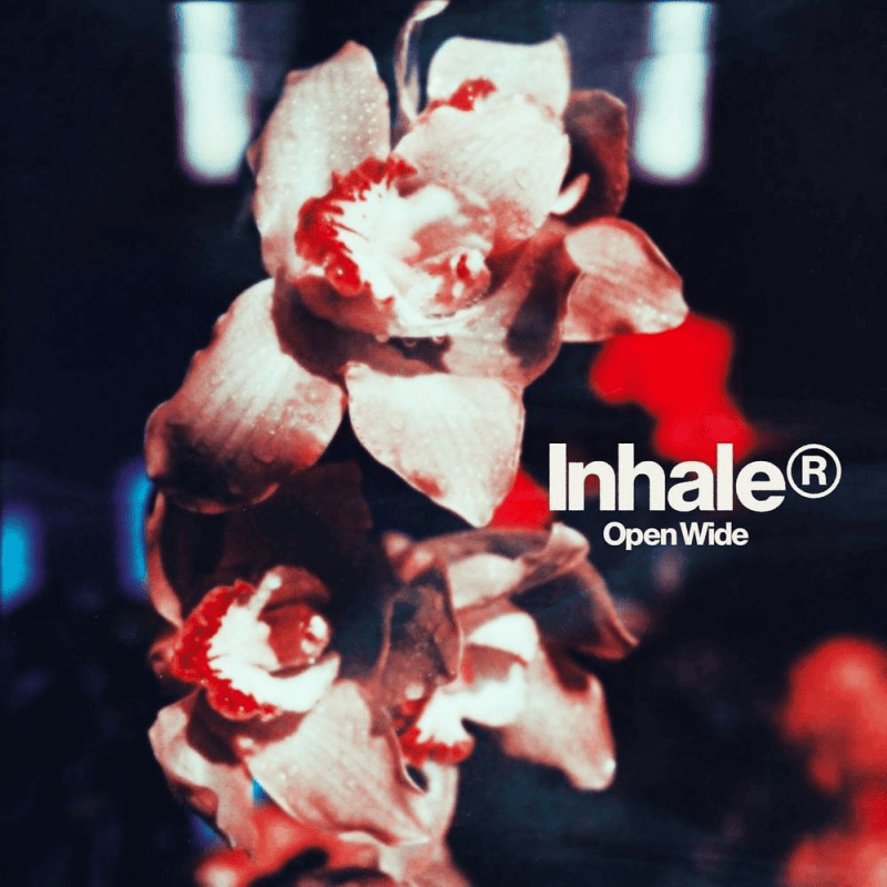 INHALER - Open Wide Vinyl - JWrayRecords