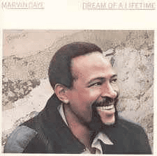 MARVIN GAYE - Dream Of A Lifetime Vinyl - JWrayRecords