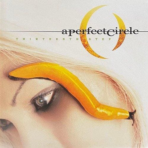 A PERFECT CIRCLE - Thirteenth Step Vinyl - JWrayRecords