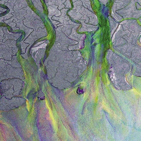 ALT J - An Awesome Wave Vinyl - JWrayRecords