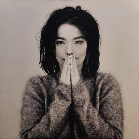 BJORK - Debut Vinyl - JWrayRecords