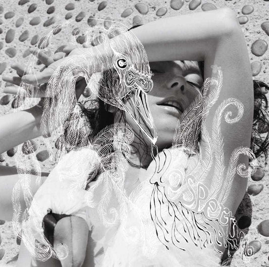 BJORK - Vespertine Vinyl - JWrayRecords