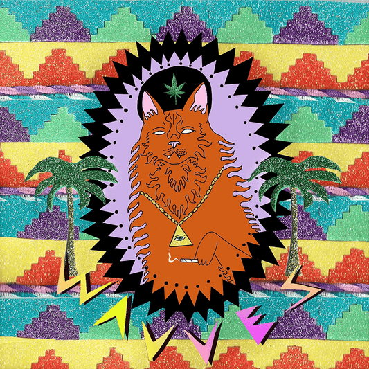 WAVVES - King of the Beach Vinyl - JWrayRecords