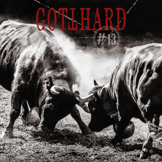 GOTTHARD - #13 Vinyl - JWrayRecords