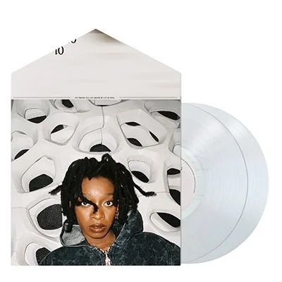 LITTLE SIMZ - No Thank You Vinyl - JWrayRecords